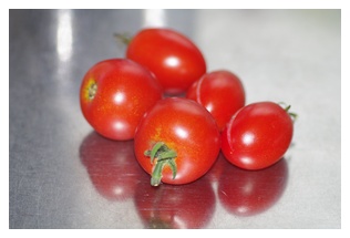 収穫したトマト