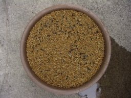 ピーマンの苗を植えるための丸型プランター（直径25cm位）にひゅうが土を入れて住友液肥をかける