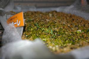 レッドオーレの芽