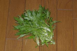 収穫した水菜